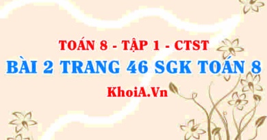 Bài 2 trang 46 SGK Toán 8 Tập 1 Chân trời sáng tạo